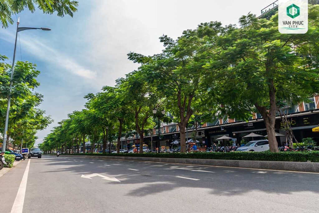 NguyenThiNhung-MangXanh-1200-030-01