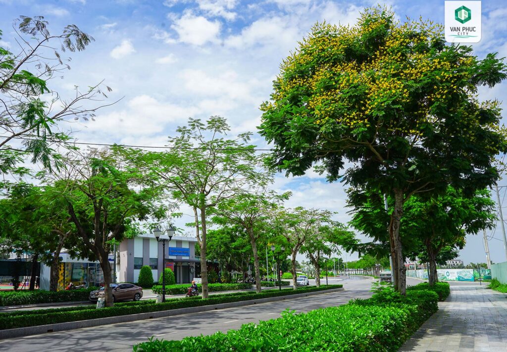 khong gian xanh tai van phuc 