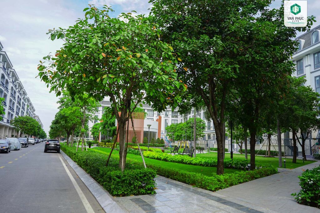khong gian xanh tai van phuc 