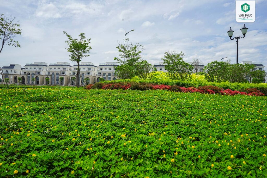 khong gian xanh tai van phuc 