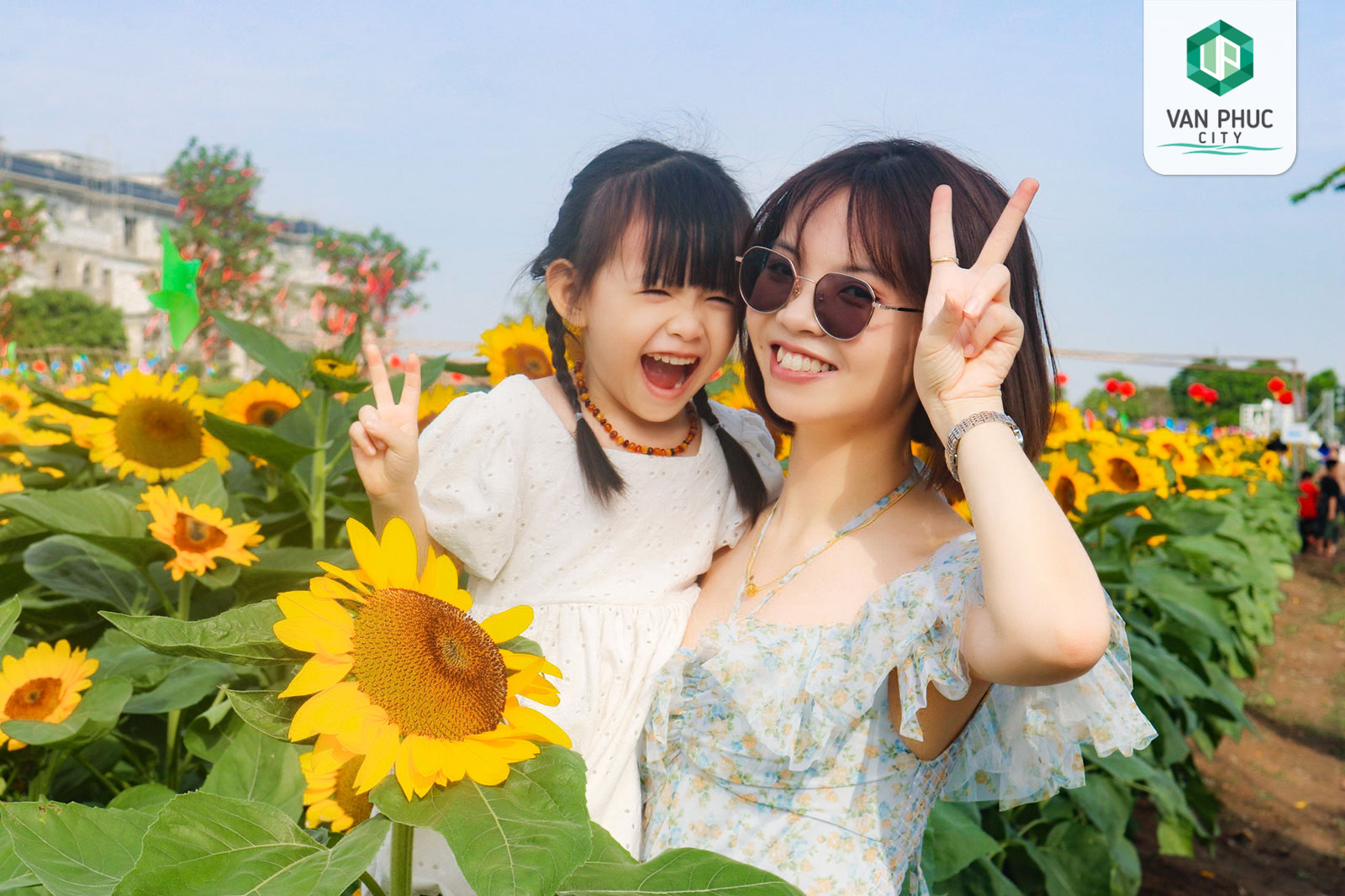 vuon hoa huong duong van phuc city