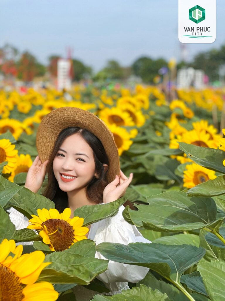 vuon hoa huong duong van phuc city