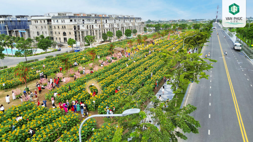 vuon hoa huong duong van phuc city