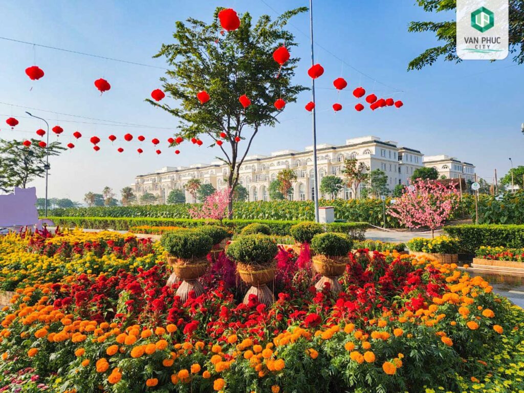 đường hoa vạn phúc